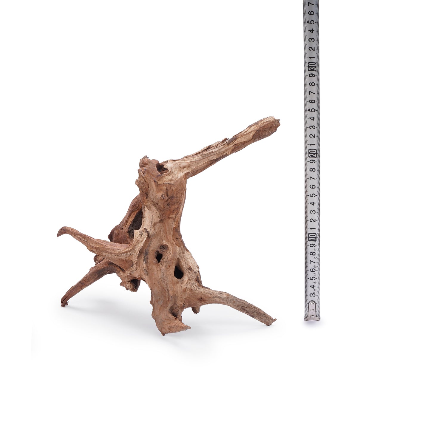 LANDEN Panna Natural Driftwood for Aquarium Decor Freshwater Fish Tank(8-12 inches, 20-30cm) 6pcs Terrariums Vivariums Reptile and Amphibian Enclosures Lizard Bearded Dragon Tortoise Various Shapes