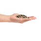 LANDEN Pangea Aquascape Sand Gravel for Aquarium,  1-3mm 2L (7lbs)