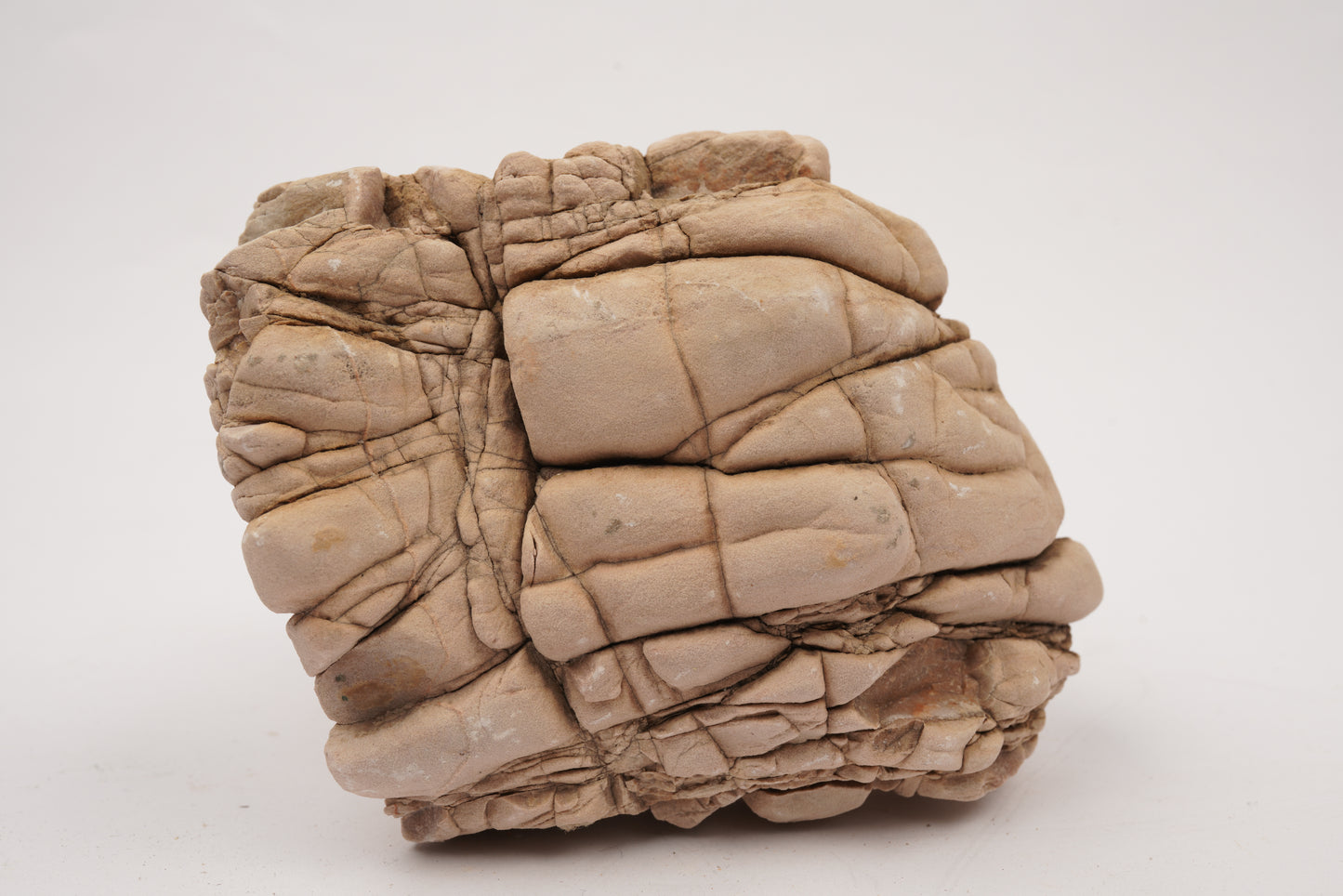 LANDEN Elephant Skin Stone Natural Rocks  (18lbs,3-9 inches)7pcs