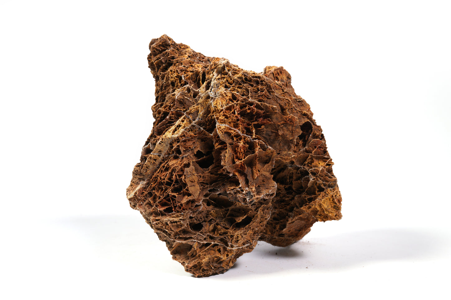 LANDEN Maple Leaves Stone Natural Rocks for Aquarium (18lbs,3-9 in) 9pcs