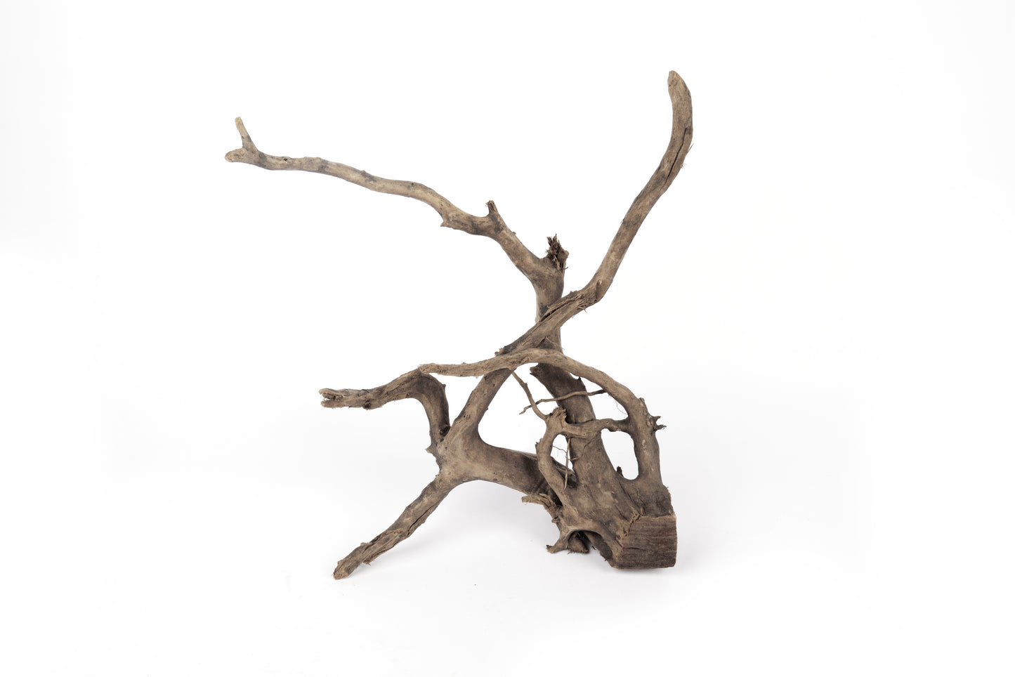 LANDEN Natural Spider Wood Aquarium Decorative Fish Tank Decorations, Driftwood Branches (12-16 Inch, XL) 4 Pcs