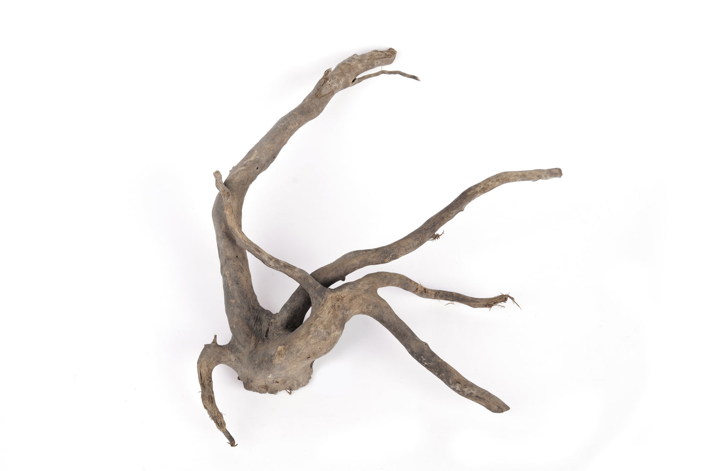 LANDEN Natural Spider Wood Aquarium Decorative Fish Tank Decorations, Driftwood Branches (12-16 Inch, XL) 4 Pcs