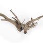 LANDEN Natural Spider Wood Aquarium Decorative Fish Tank Decorations, Driftwood Branches (12-16 Inch, XL) 4 Pcs
