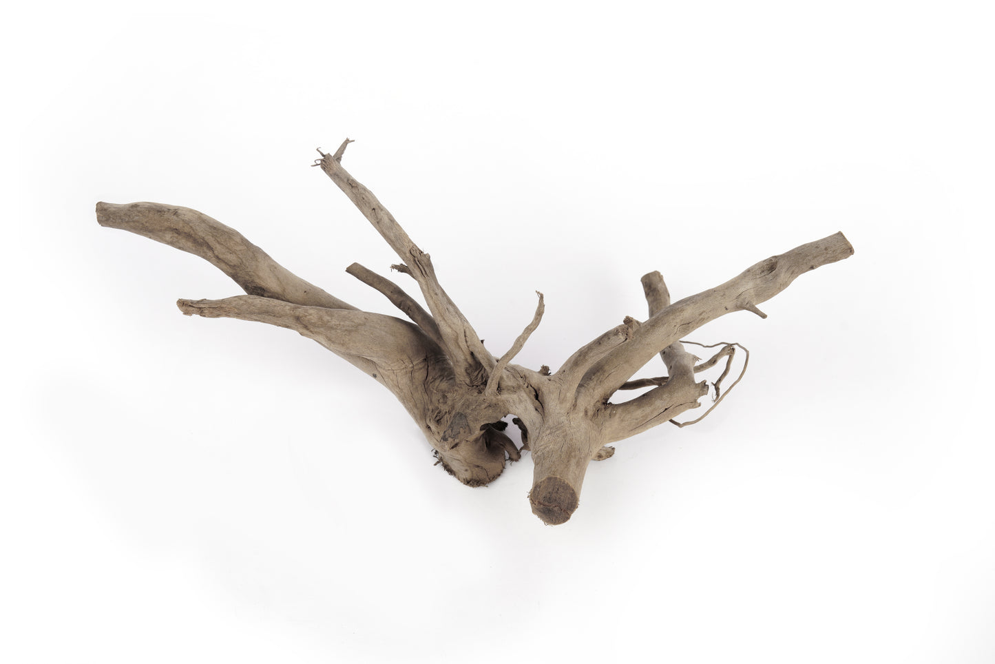 LANDEN Natural Spider Wood Aquarium Decorative Fish Tank Decorations, Driftwood Branches (12-16 Inch, XL) 4 Pcs