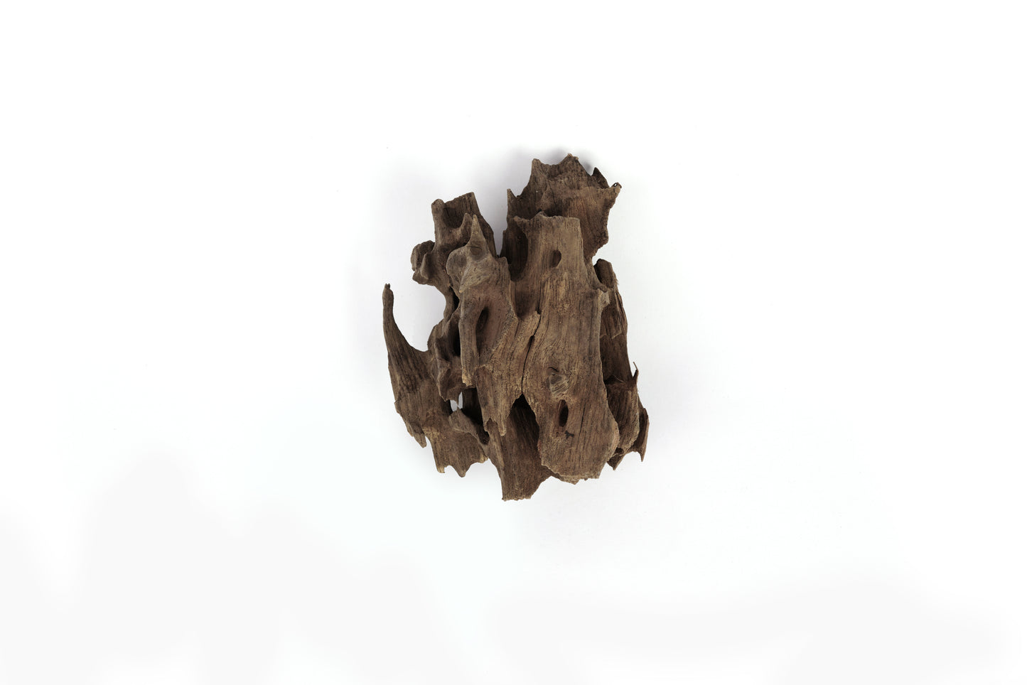 LANDEN Dragon Wood Natural Driftwood for Aquarium Freshwater Tank Reptile Habitats, 40L (4~12 inches, 9pcs)