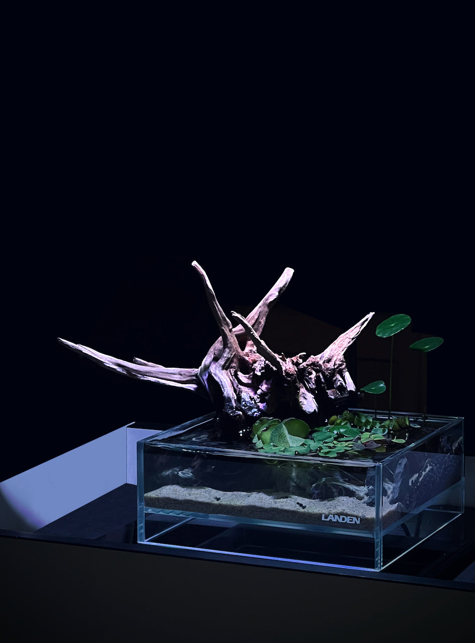 LANDEN 0.7 Gallon Rimless Shallow Aquarium Glass-air Tank