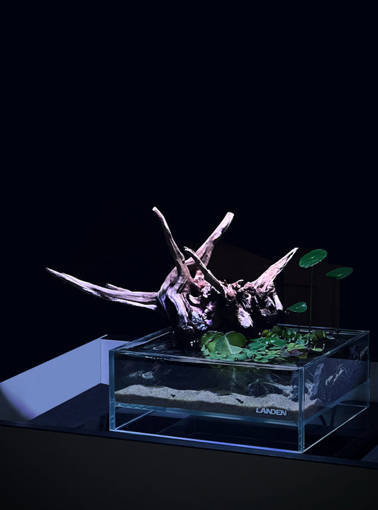 LANDEN 0.7 Gallon Rimless Shallow Aquarium Glass-air Tank