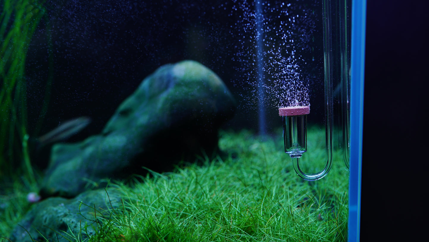 LANDEN AERVITA CO2 Diffuser Kits, Professional Aquarium CO2 Diffuser with High Efficiency, Suitable for Aquariums Between 30-50gal (110-190L).