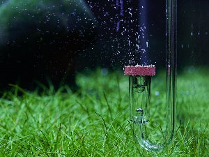 LANDEN AERVITA CO2 Diffuser Kits, Professional Aquarium CO2 Diffuser with High Efficiency, Suitable for Aquariums Between 10-30gal (40-110L).