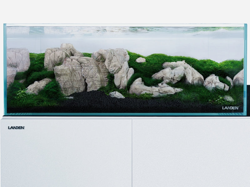 LANDEN Elephant Skin Stone Natural Multi-Texture Rocks Grey(18lbs, 3~9 inches,7pcs)