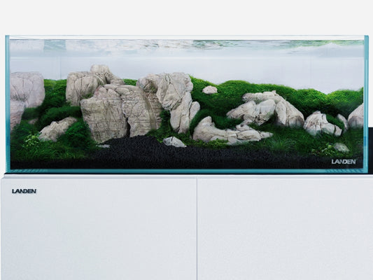 LANDEN Elephant Skin Stone Natural Multi-Texture Rocks Grey(18lbs, 3~9 inches,7pcs)