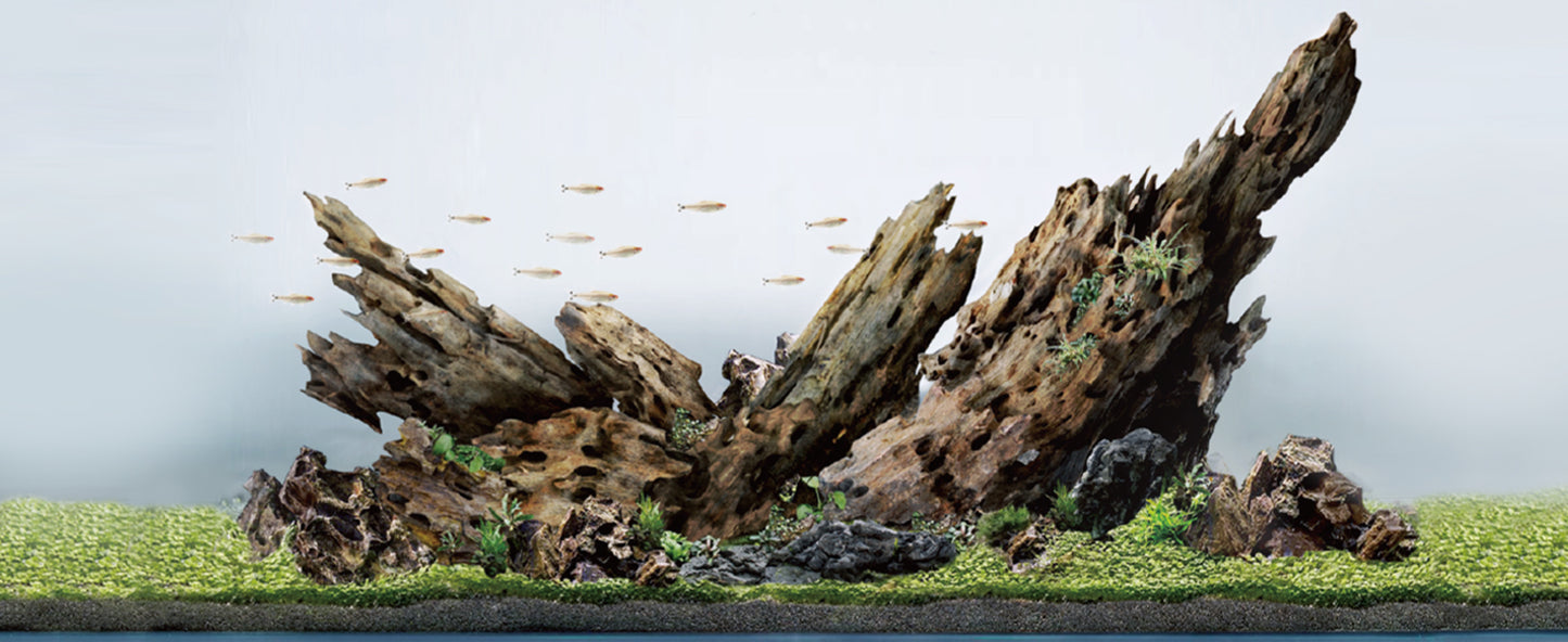 LANDEN Dragon Wood Natural Driftwood for Aquarium Freshwater Tank Reptile Habitats, 40L (4~12 inches, 9pcs)