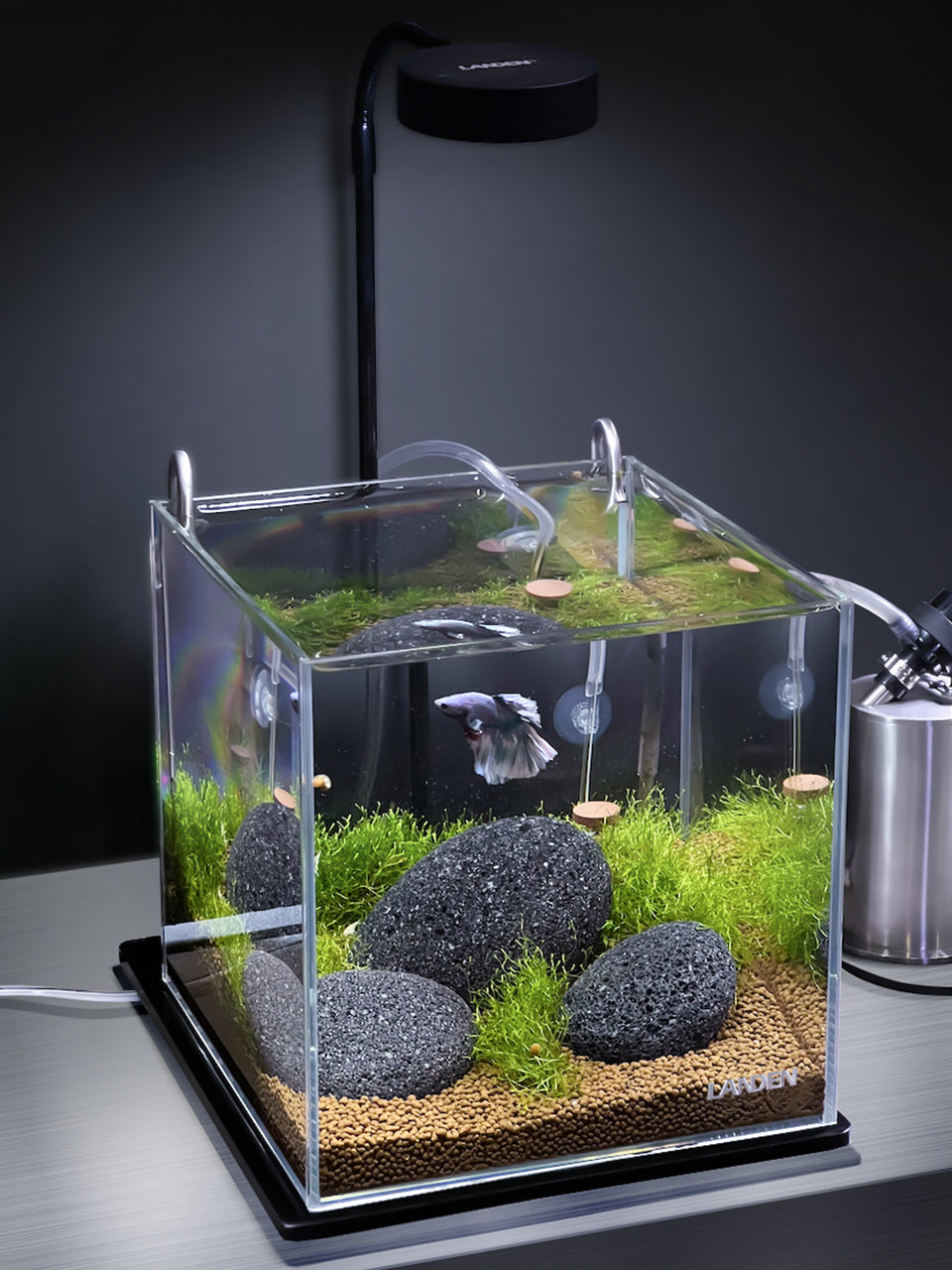 LANDEN THRIVA Natural Soil Substrate Tropical Brown 5L(10lbs),Medium Size