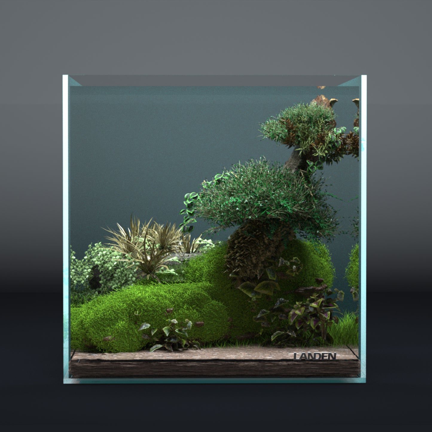 Landen 30C 6.6 Gallon Rimless Low Iron Aquarium Tank, 11.8" L × 11.8" W × 11.8" H (30cm x 30cm x 30cm)