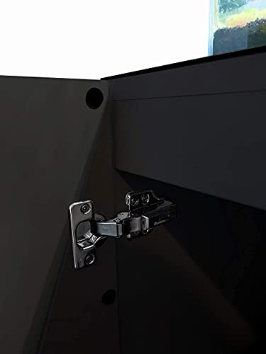 LANDEN Aquarium Wooden Stand and Cabinet for up to 30 Gal Tank,W23.6xD17.7xH33.9in(60X45x86cm), Matte Black Painted(Stand Only)