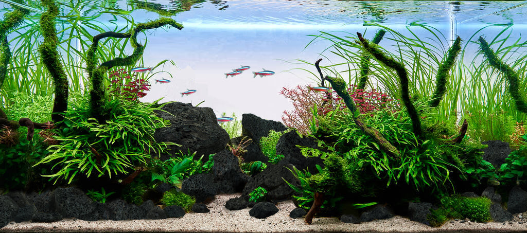 LANDEN Black Lava Stones for Aquascaping (16lbs,3-10 inches)11pcs