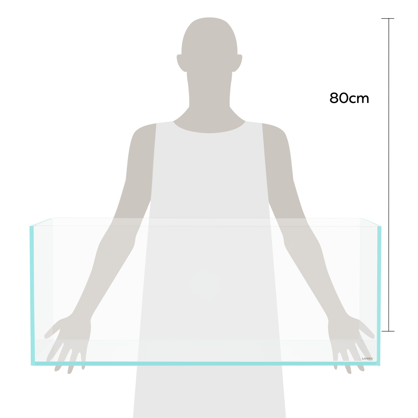 LANEDN 90S 39 Gallon Shallow Tank