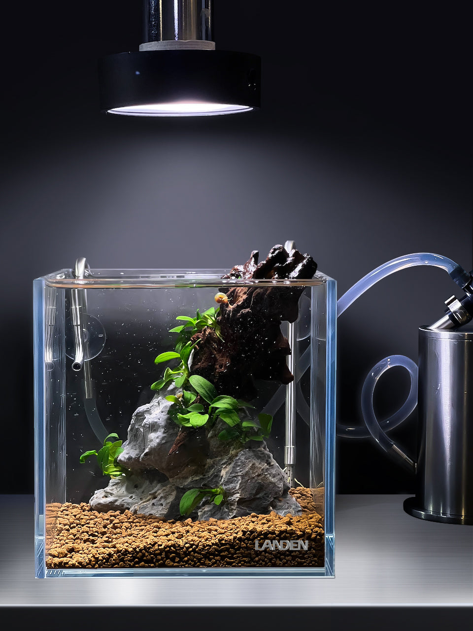 LANDEN THRIVA Natural Soil Substrate Tropical Brown 5L(10lbs),Medium Size