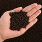 LANDEN THRIVA Natural Soil Substrate,Black Color 5L(10lbs),Large Size