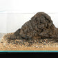 LANDEN Mekong Aquarium Brown-Black Sand,7lbs(2L) 2-5mm