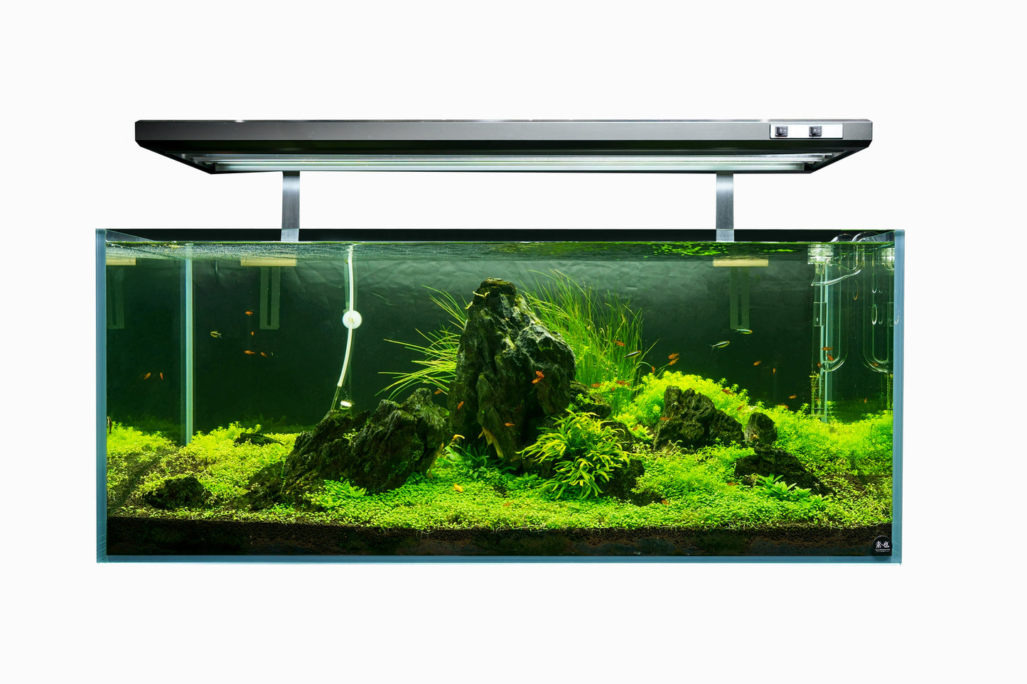 Landen 100P 50 Gallon Rimless Low Iron Aquarium Tank, 39.37" W × 17.72" D × 17.72" H (100cm x 45cm x 45cm)