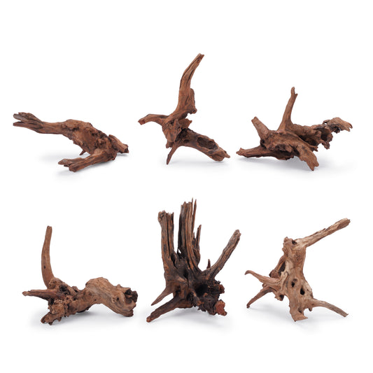 LANDEN Panna Natural Driftwood for Aquarium Decor Freshwater Fish Tank(8-12 inches, 20-30cm) 6pcs Terrariums Vivariums Reptile and Amphibian Enclosures Lizard Bearded Dragon Tortoise Various Shapes