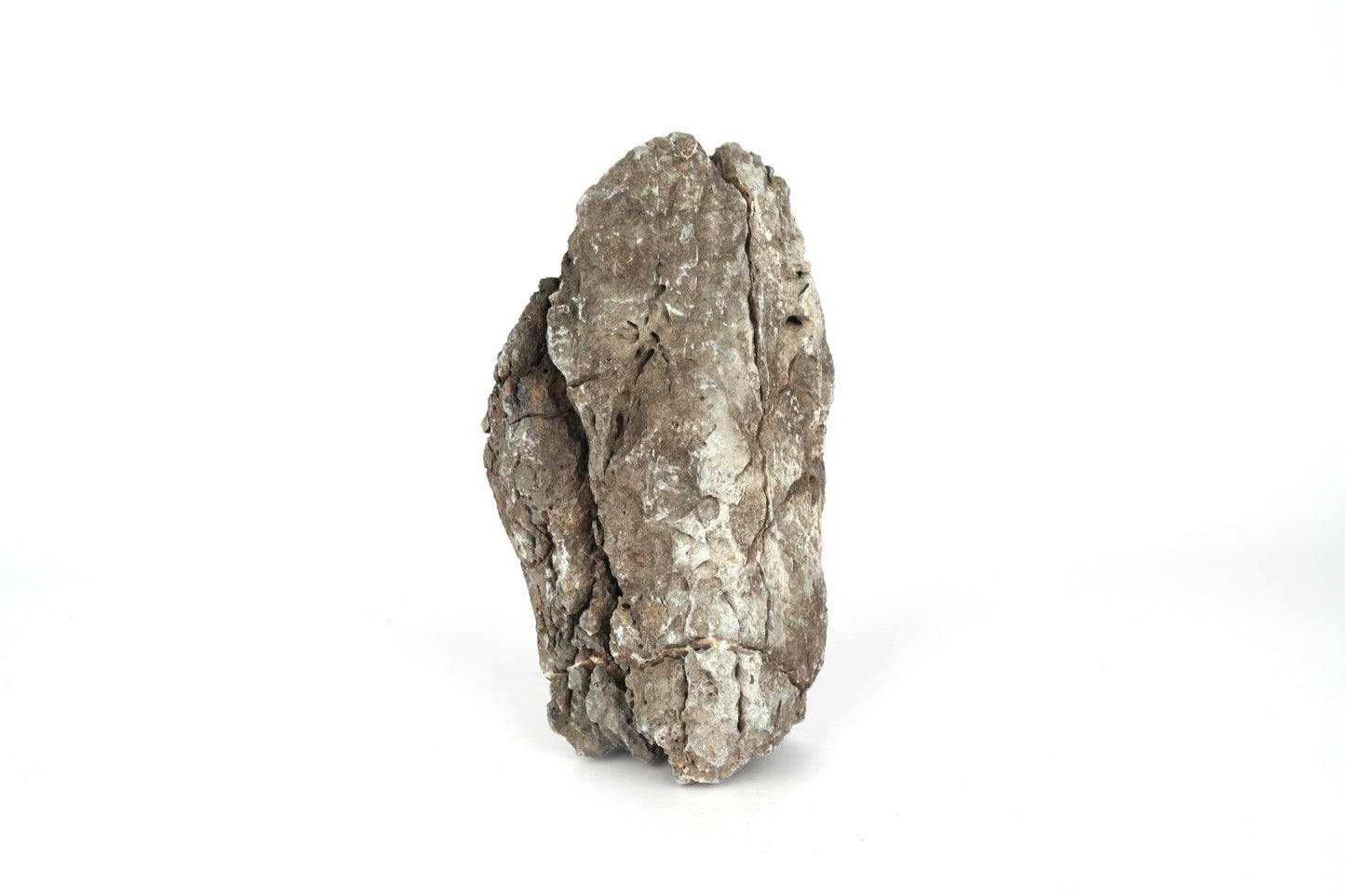 LANDEN Seiryu Stones Natural Rocks  for Aquascaping  (17lbs, 3-11inches) 7-8pcs