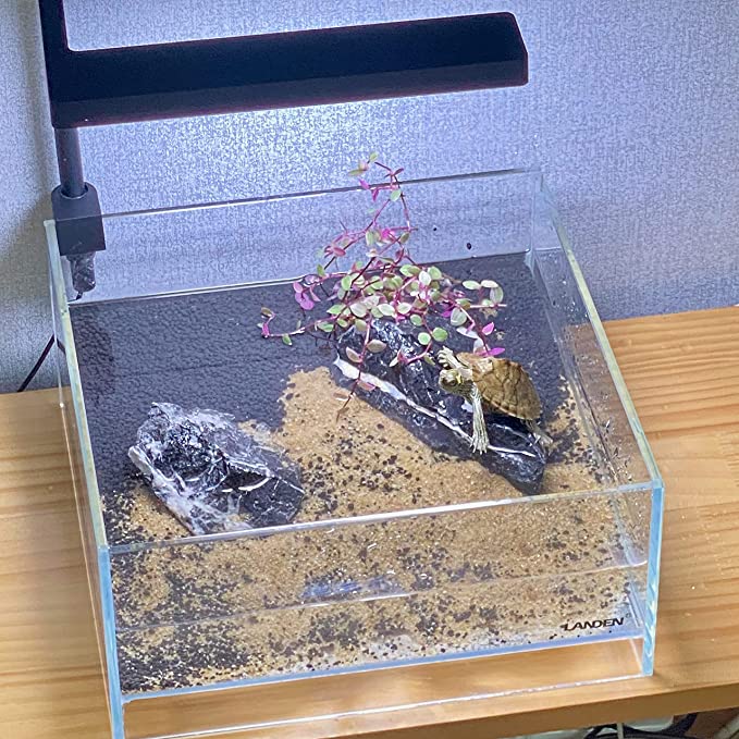 LANDEN Natural Tonwa Slate Stones for Aquascaping (17lbs, 4-8 inches)7-8pcs