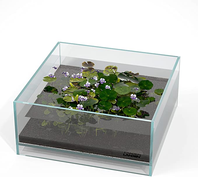 LANDEN Glass Air Aquarium Tank Multi-SceneLandscape Aquarium, 1.6Gallon Rimless Low Iron Shallow Tank,10.63" W×10.63" D×4.72" H (27cmx27cmx12cm)