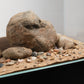 LANDEN Balagen Aquarium Sand River Rocks Stones,2L,14-38mm