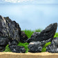 LANDEN Dark SEIRYU Stones Natural Rocks for Aquascaping  (17lbs, 3-11inches) 7-8pcs